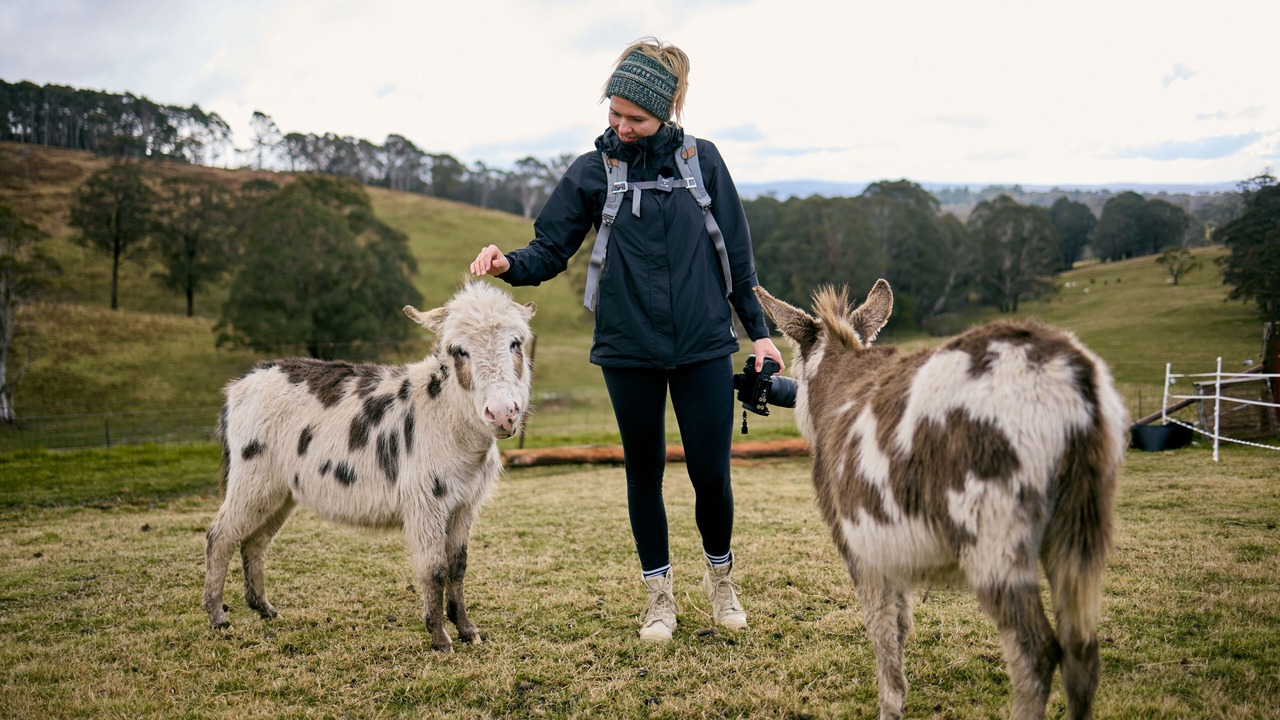 Photo of Outdoor in Jenolan
