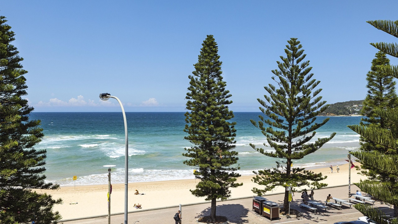 Photo of Others in Manly