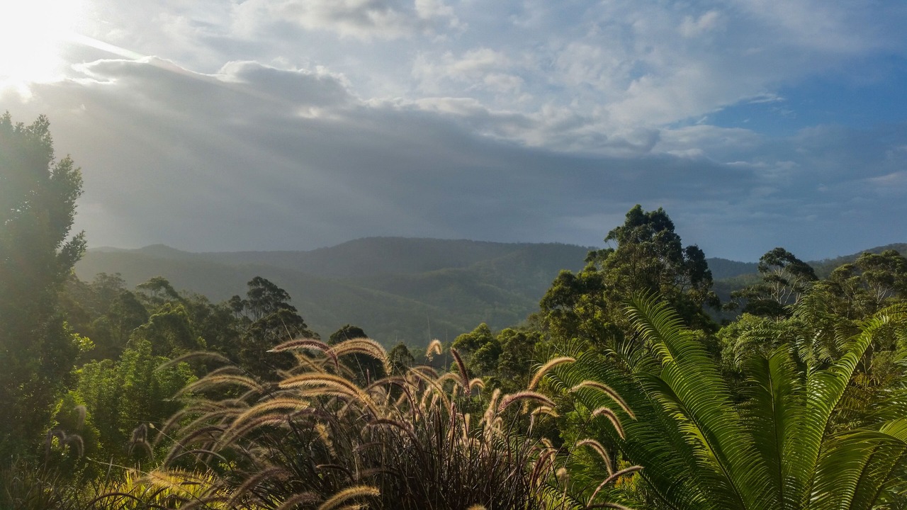 Photo of Outdoor in Wongawallan