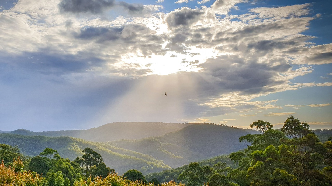 Photo of Others in Wongawallan
