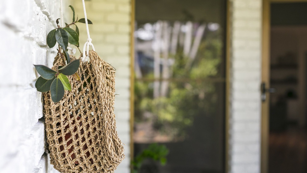 Photo of Outdoor in Maroochydore