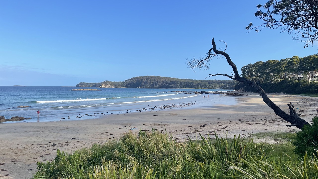 Photo of Others in Denhams Beach