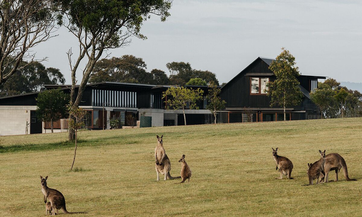 Photo of Outdoor in Bingie