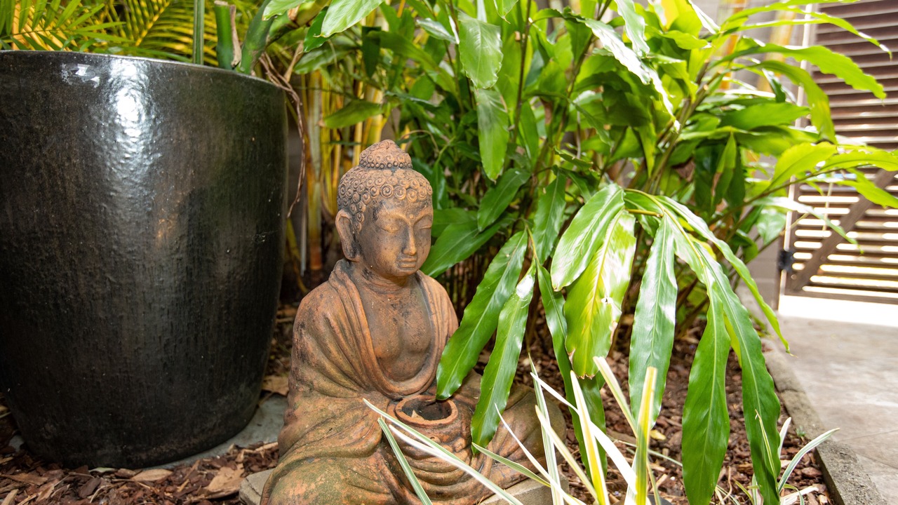 Photo of Outdoor in Camperdown