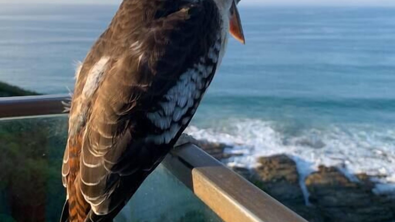 Photo of Others in Wye River