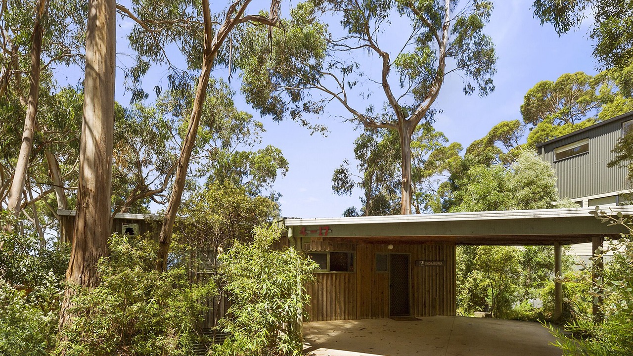 Photo of Outdoor in Lorne