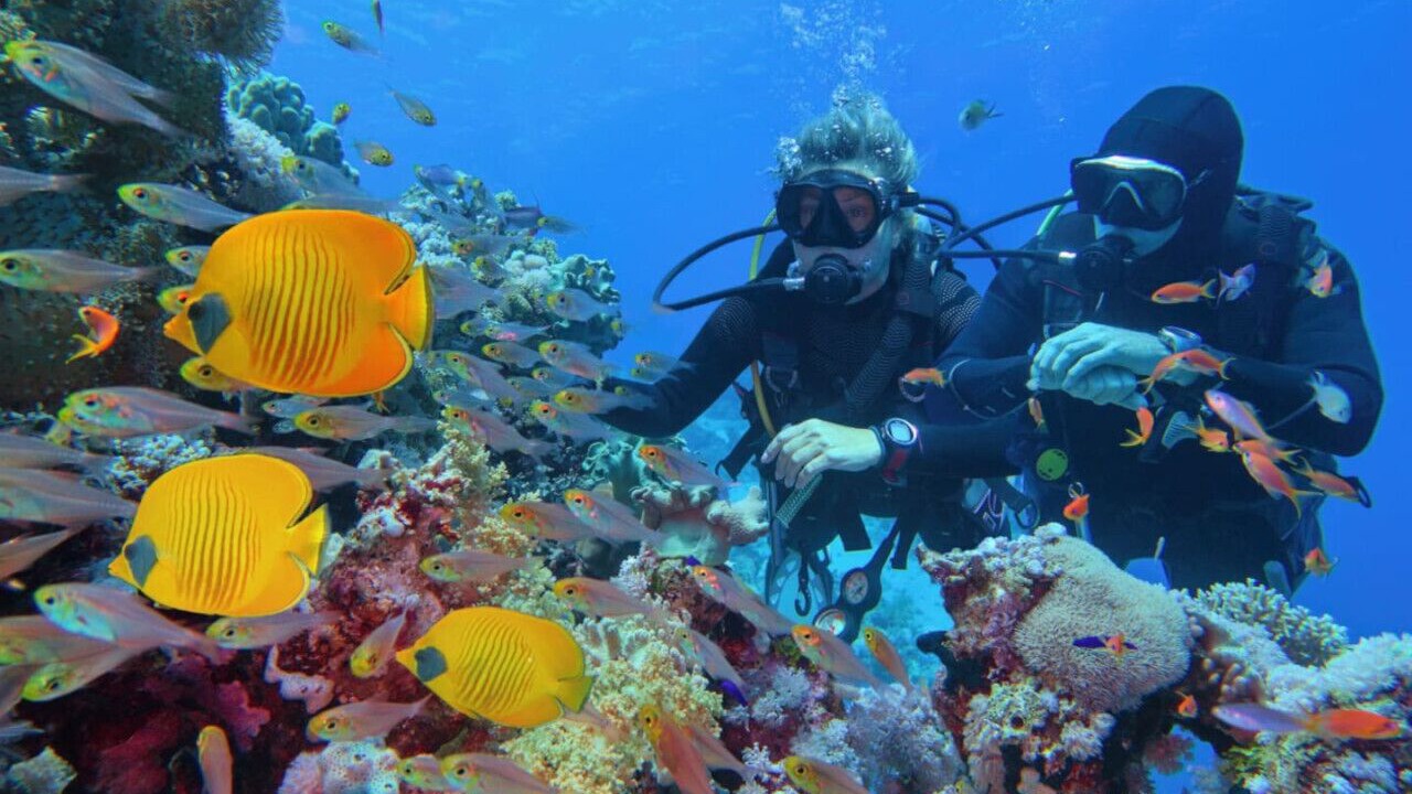 Photo of Others in Cairns North