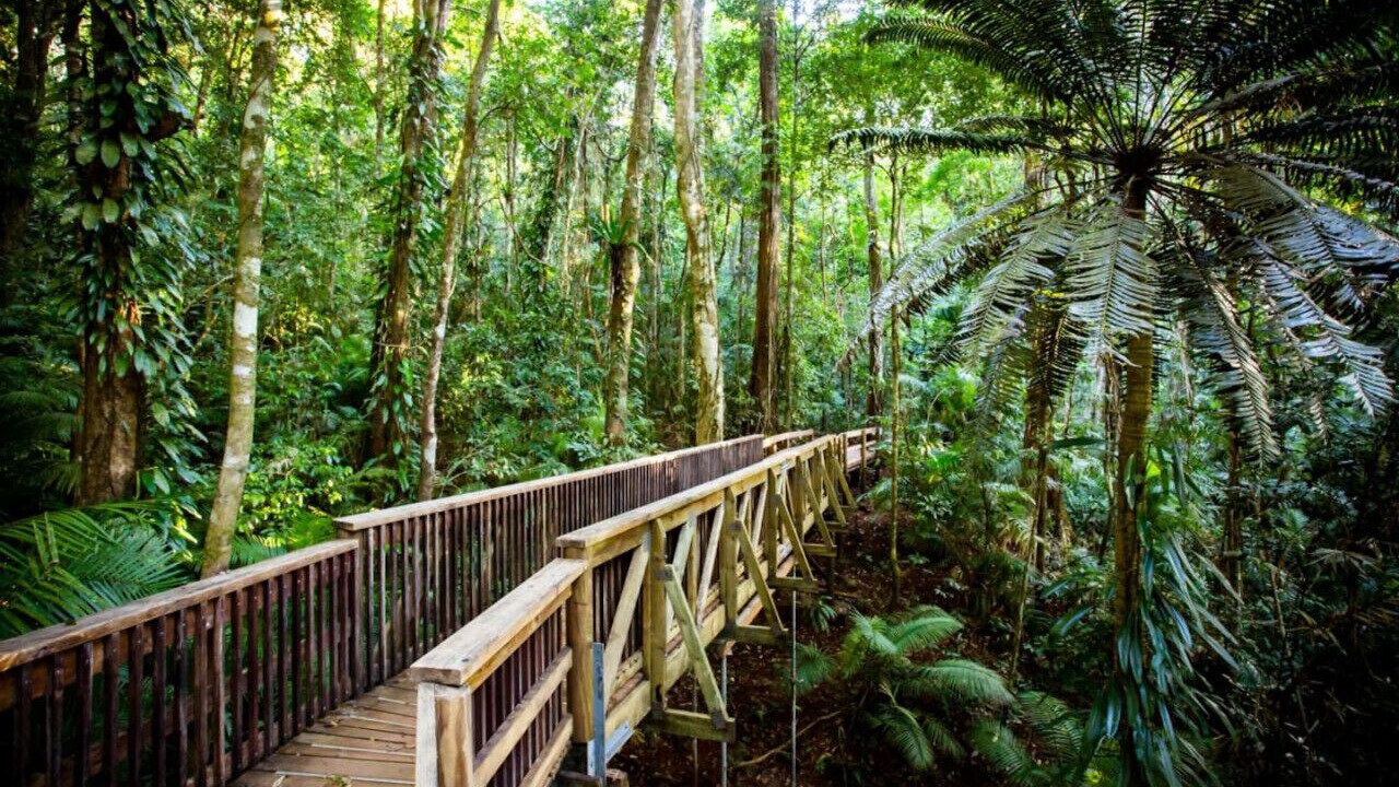 Photo of Outdoor in Cairns North