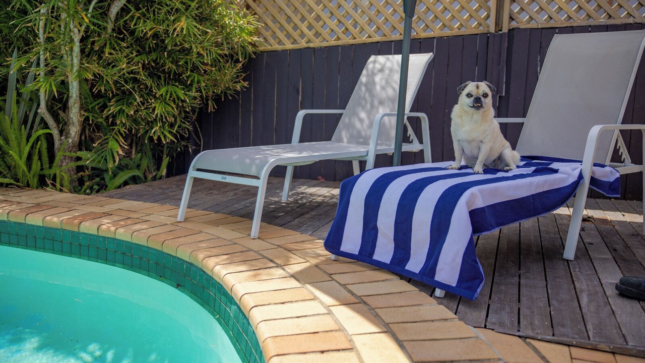 Photo of Outdoor in Sawtell