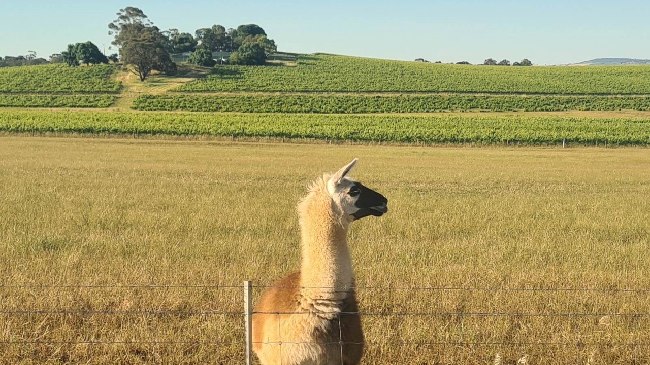 Photo of Outdoor in Lyndoch