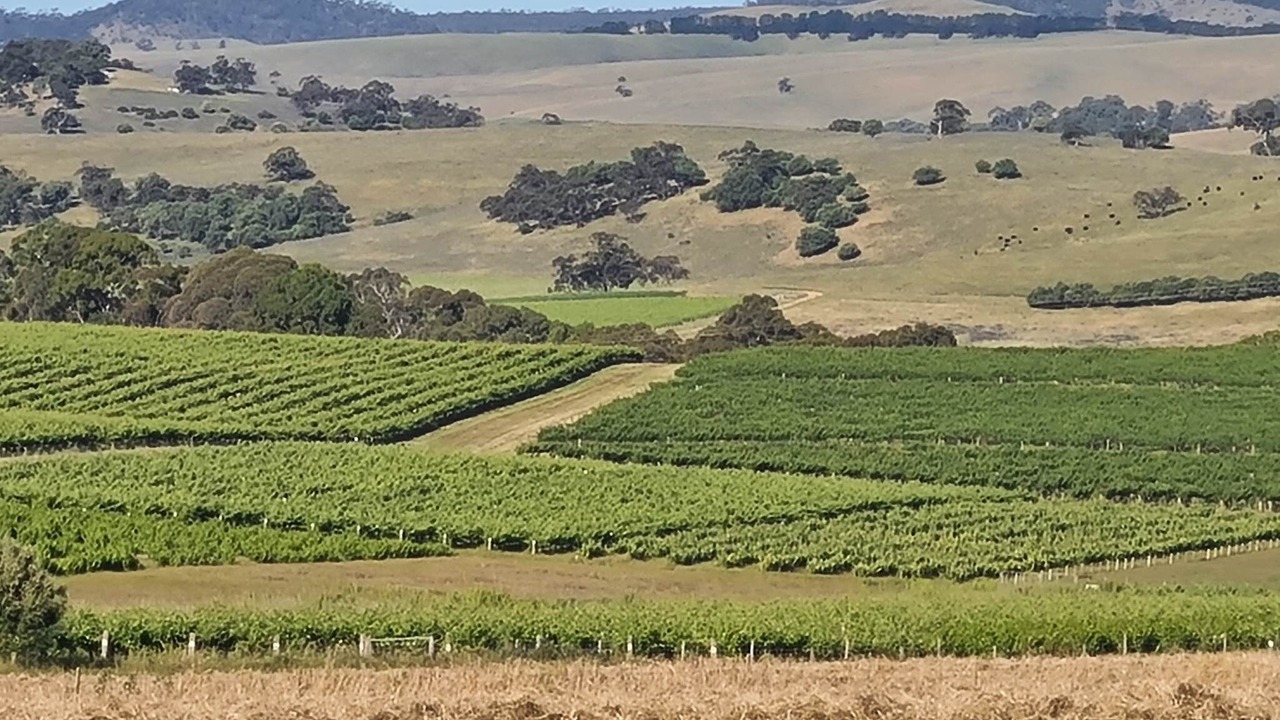 Photo of Others in Lyndoch