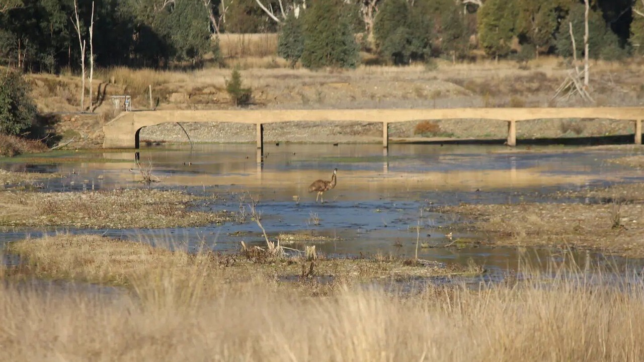 Photo of Others in Glenlyon