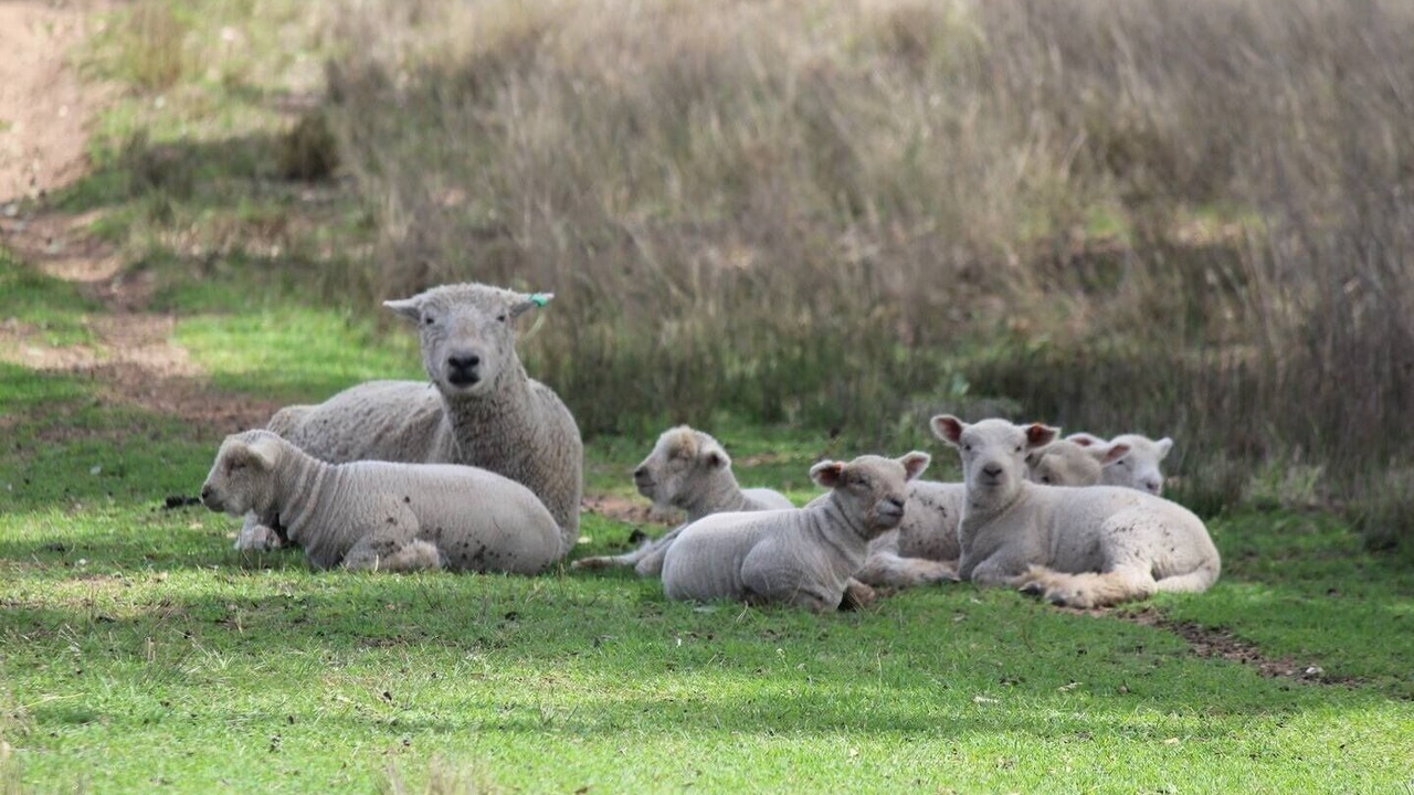 Photo of Outdoor in Glenlyon