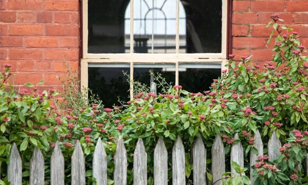 Photo of Outdoor in Maldon