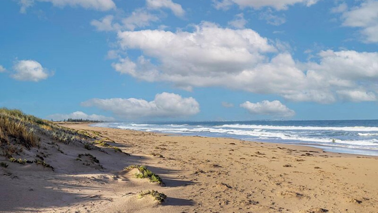 Photo of Others in Golden Bay