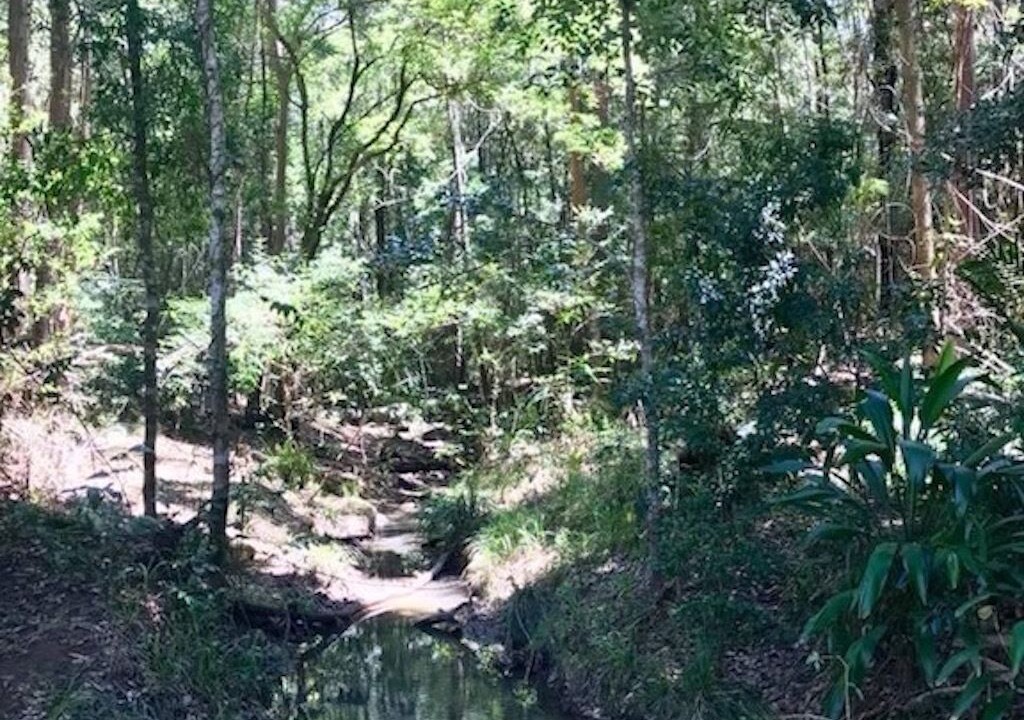Photo of Outdoor in Doon Doon