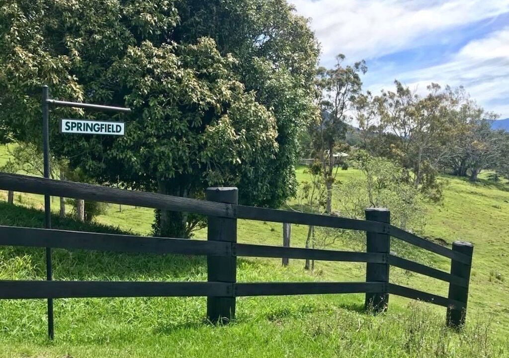 Photo of Outdoor in Doon Doon