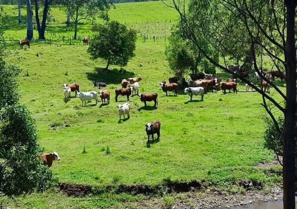 Photo of Outdoor in Doon Doon