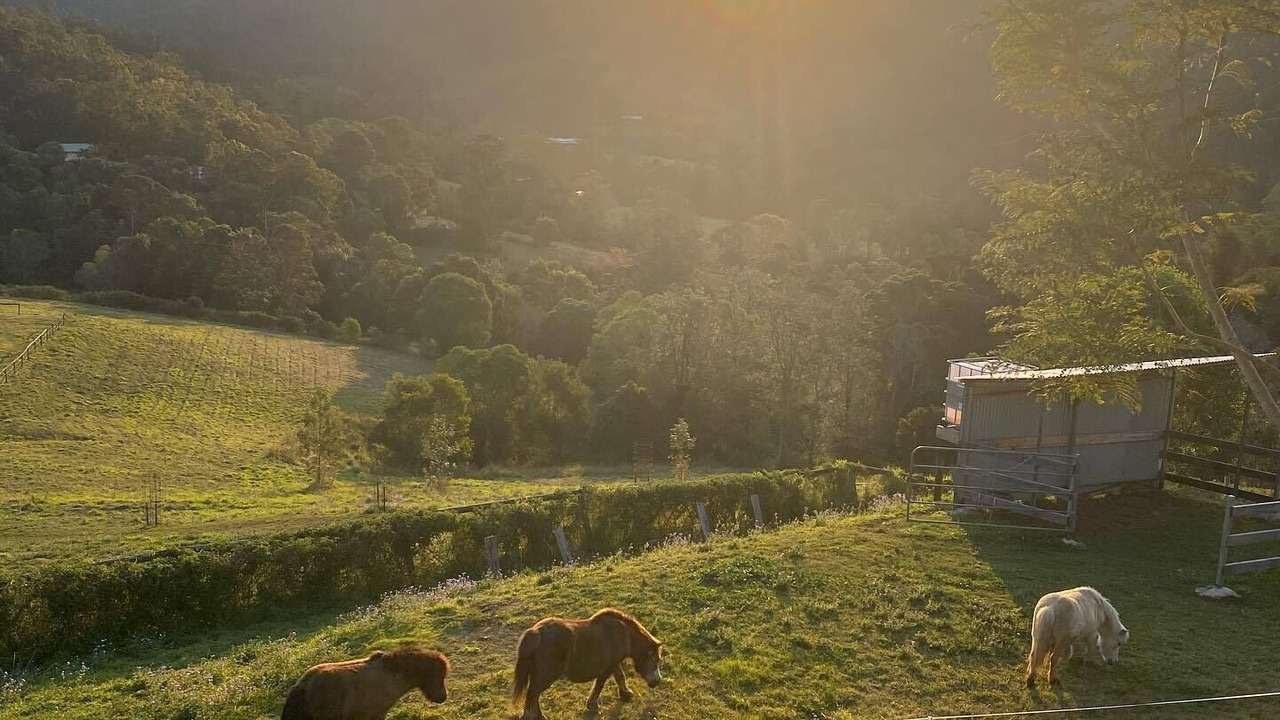Photo of Outdoor in Laceys Creek
