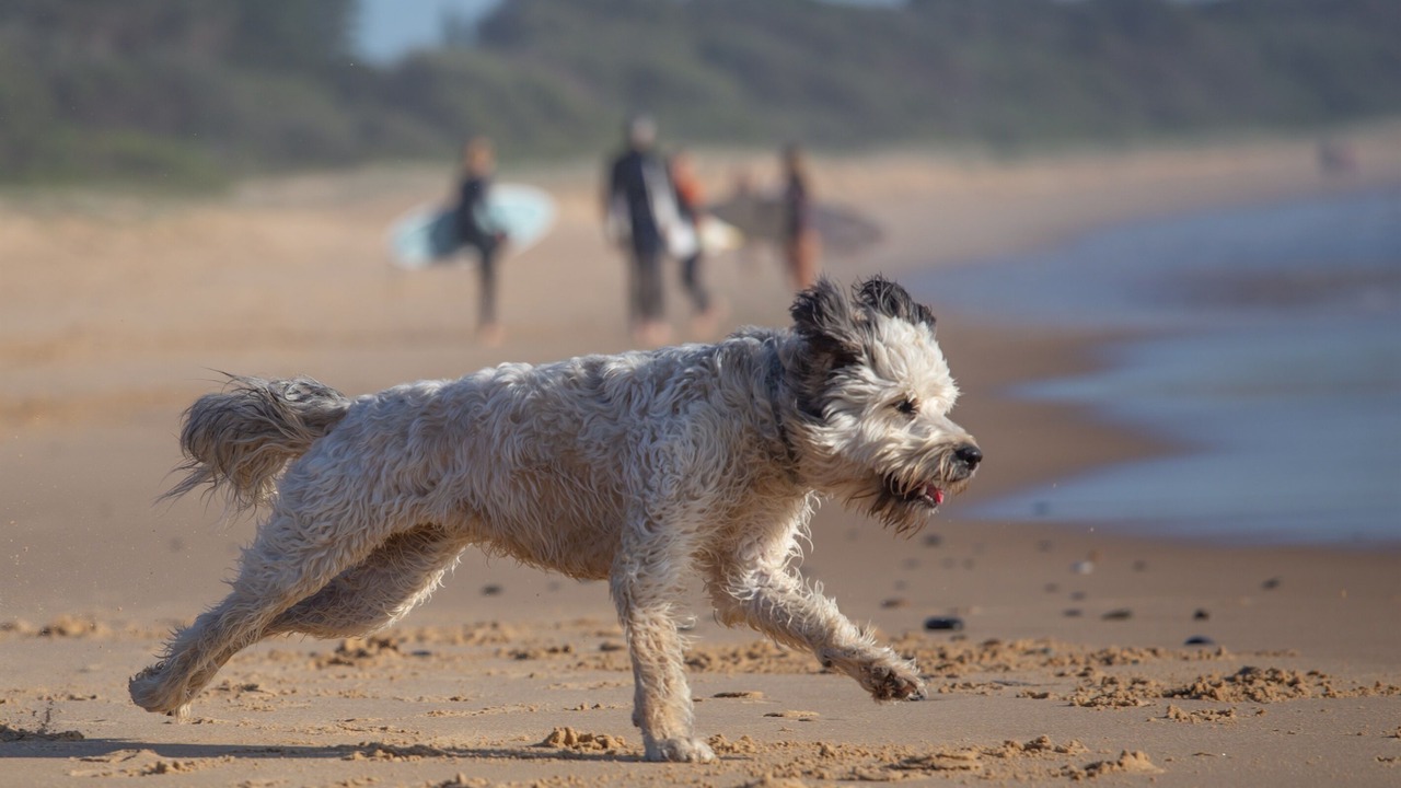 Photo of Others in Diamond Beach