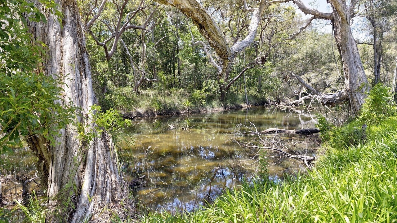 Photo of Others in Nambucca Heads