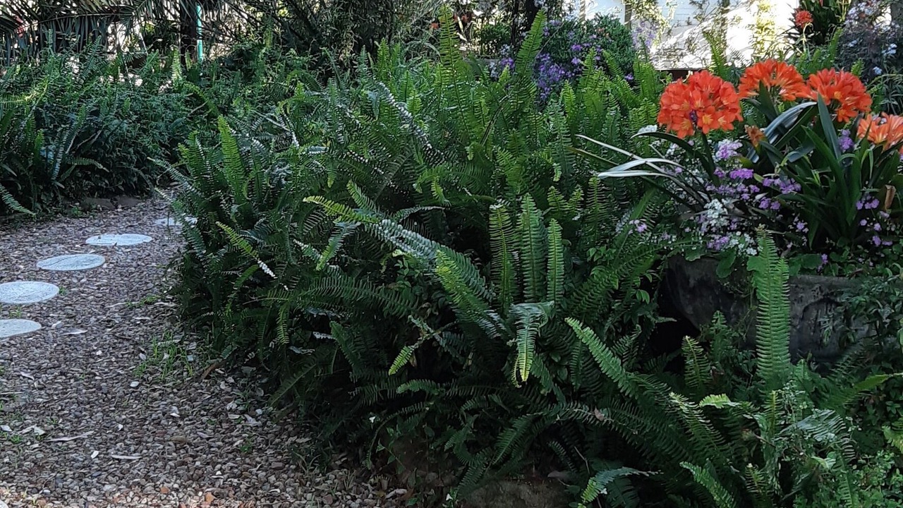 Photo of Outdoor in Glenbrook