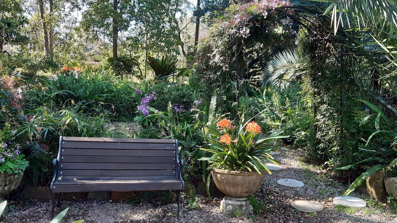 Photo of Outdoor in Glenbrook