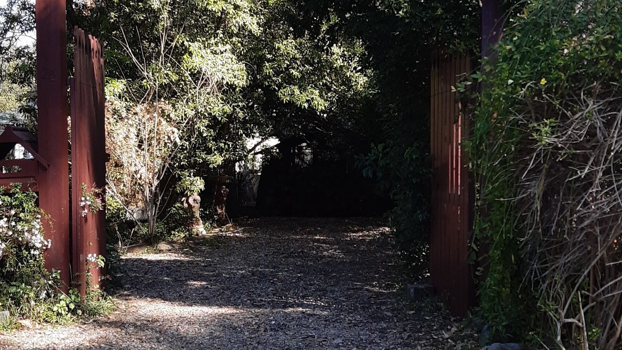 Photo of Outdoor in Glenbrook
