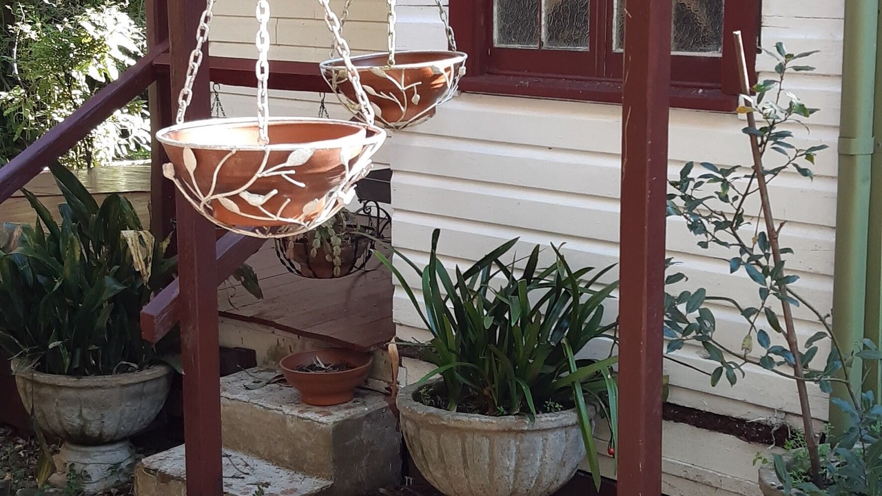 Photo of Outdoor in Glenbrook