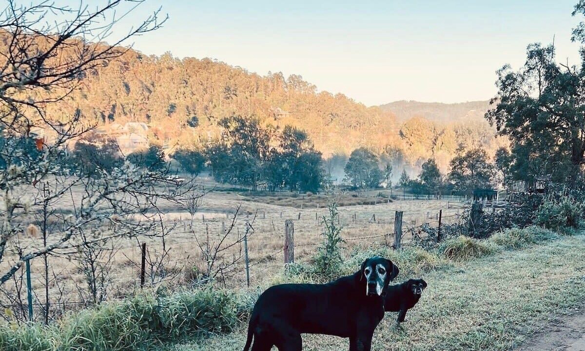 Photo of Others in Wollombi