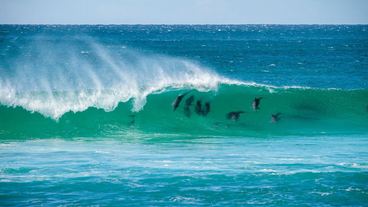 Photo of Others in East Ballina