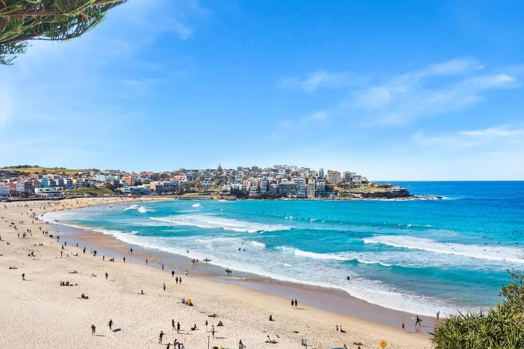 Photo of Others in North Bondi