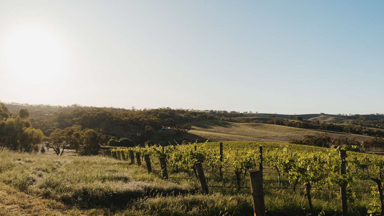 Photo of Outdoor in Mintaro
