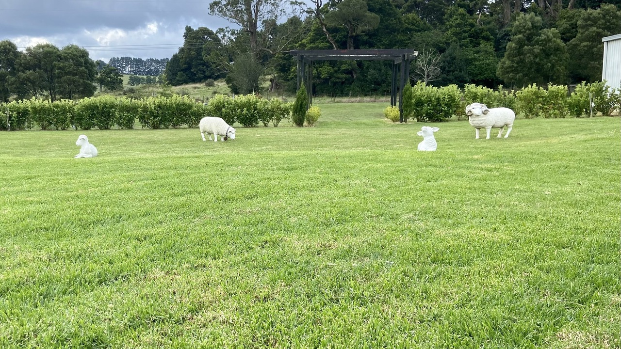 Photo of Outdoor in Robertson