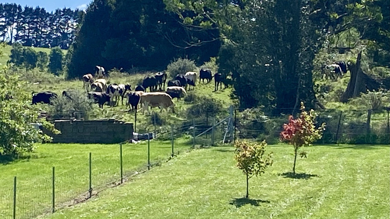 Photo of Others in Robertson