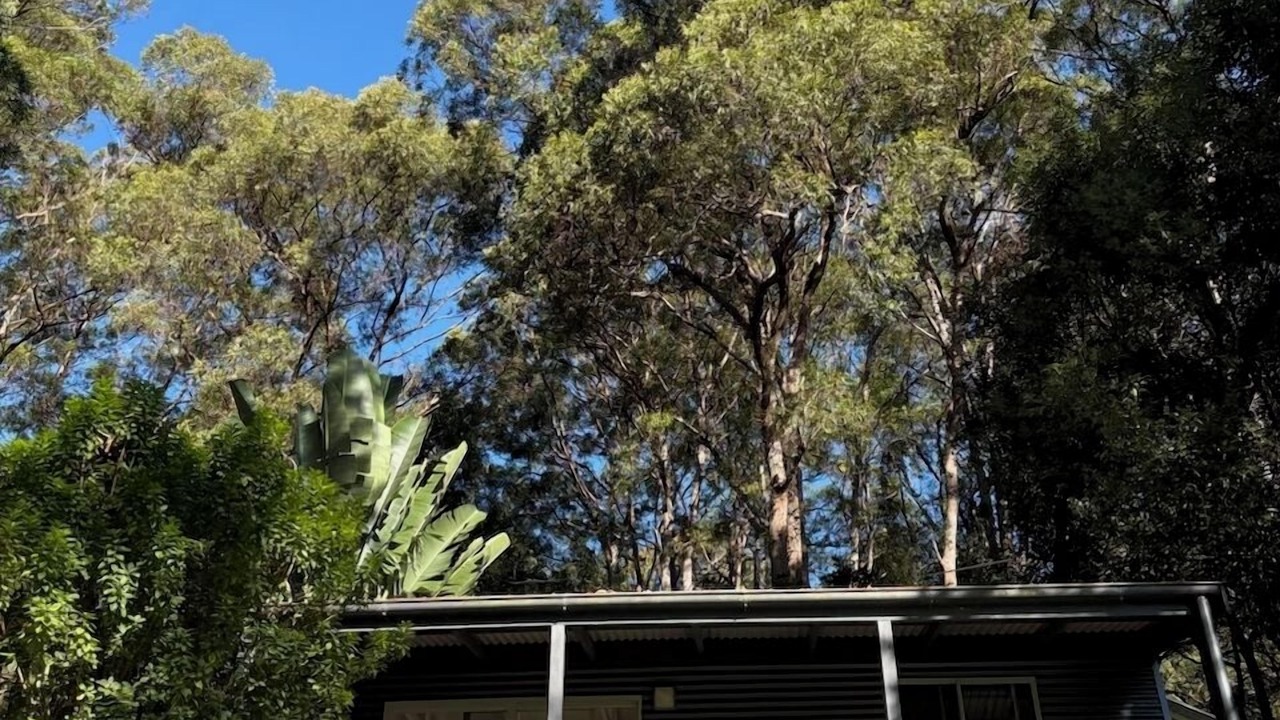 Photo of Outdoor in Myocum