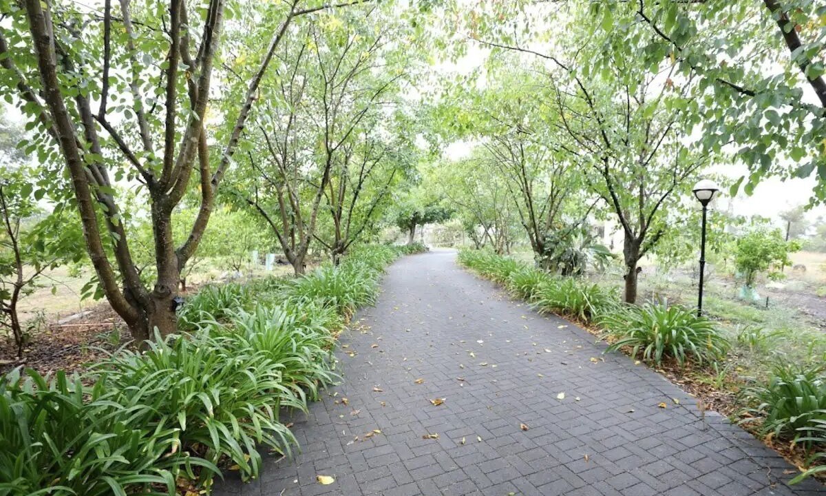 Photo of Outdoor in Kenthurst