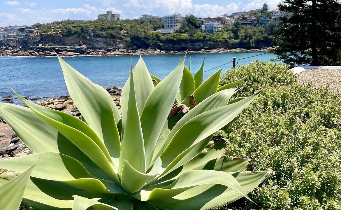 Photo of Outdoor in Clovelly