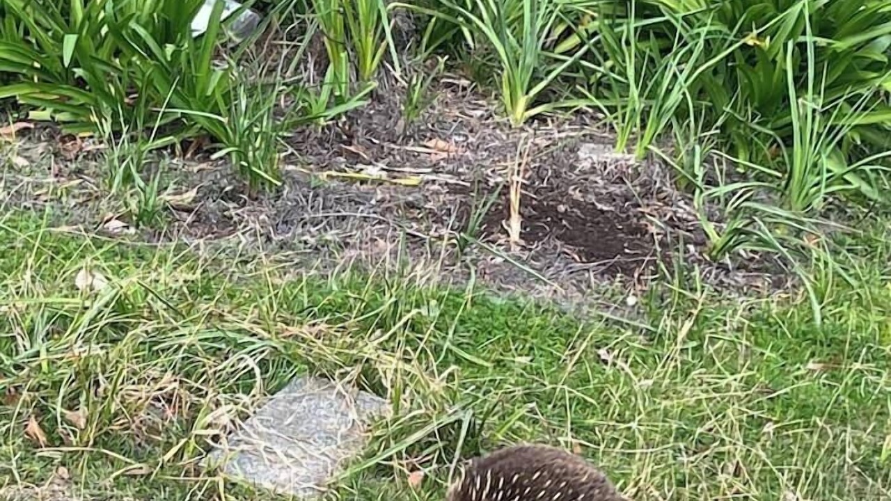 Photo of Others in Adventure Bay