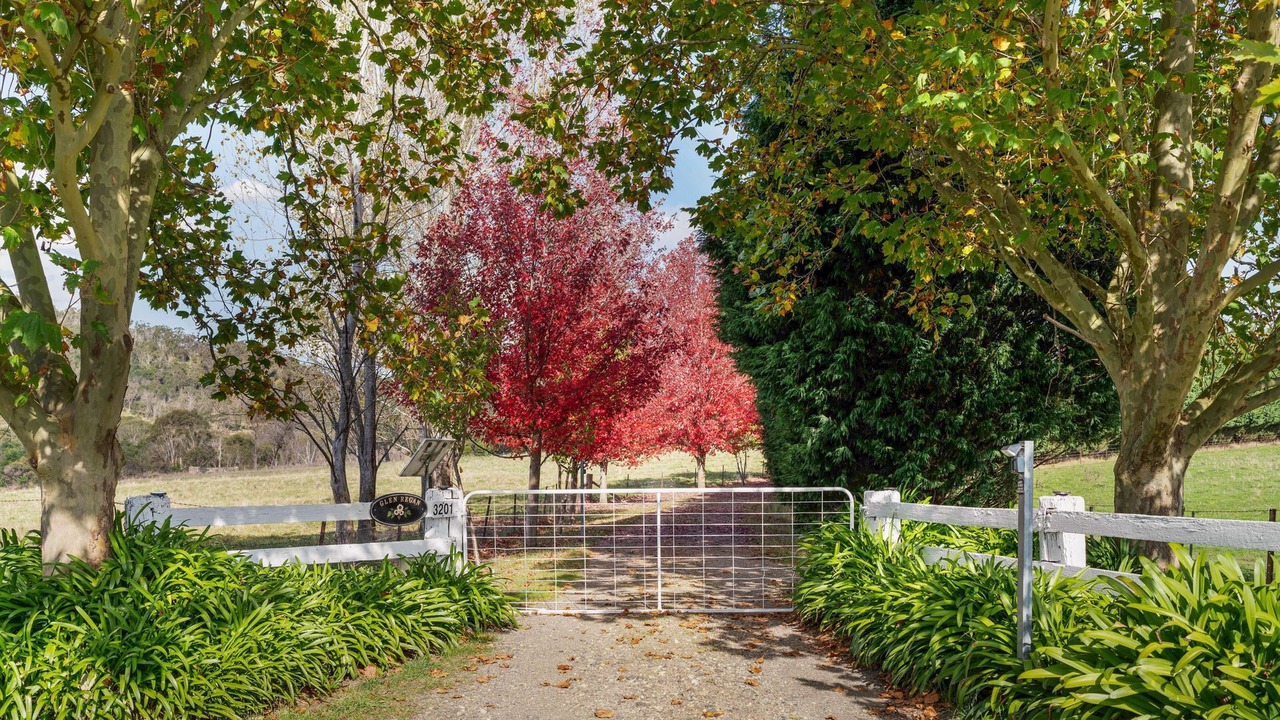 Photo of Outdoor in Berrima
