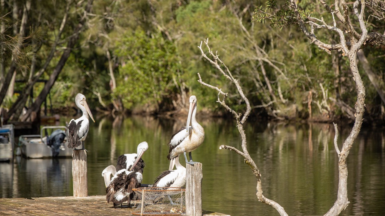 Photo of Outdoor in Charlotte Bay
