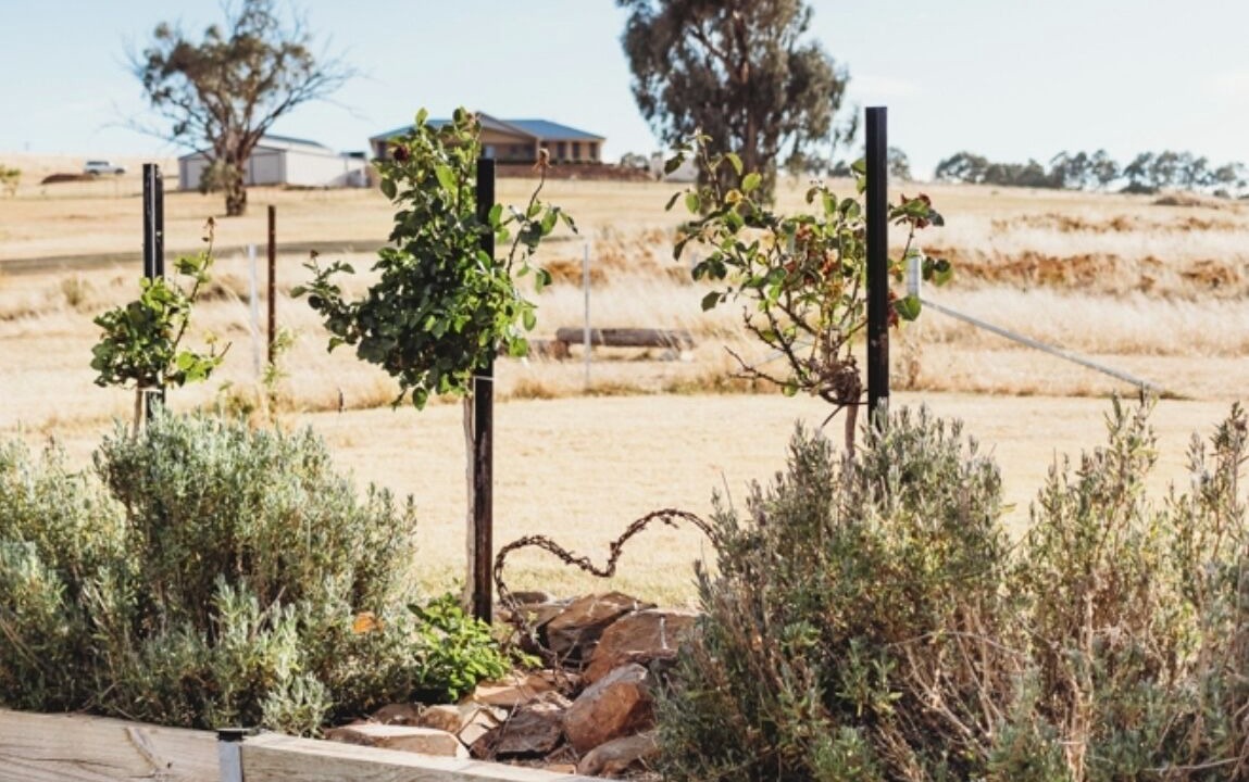 Photo of Outdoor in Canowindra