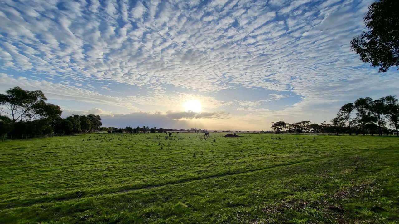 Photo of Others in Leopold