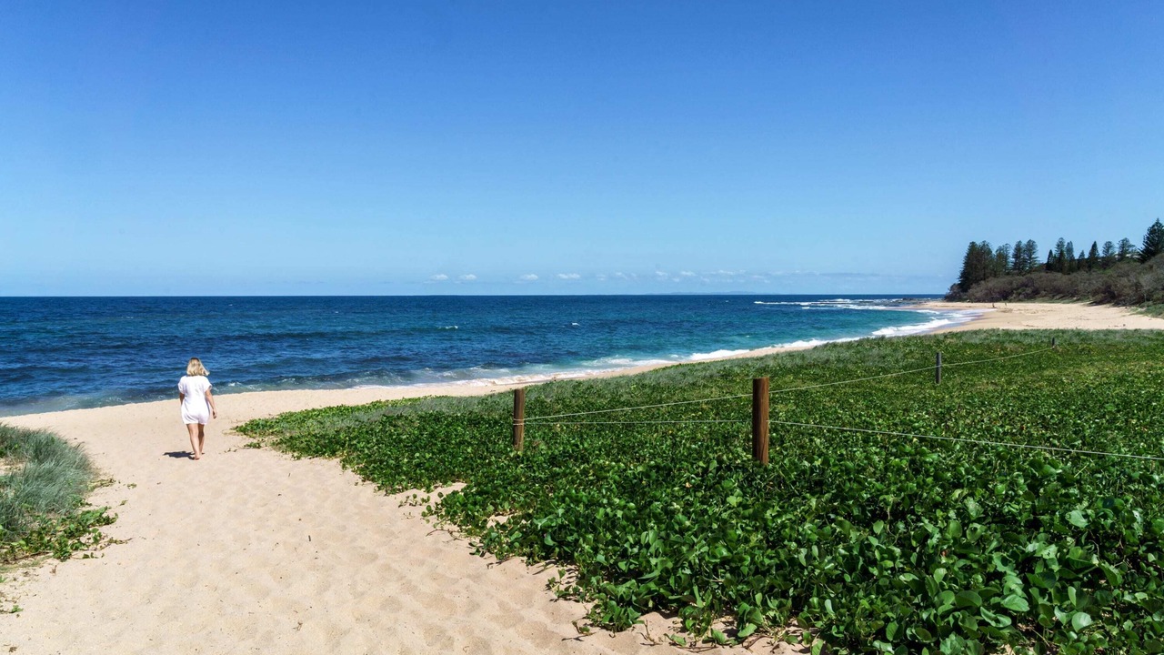 Photo of Others in Shelly Beach