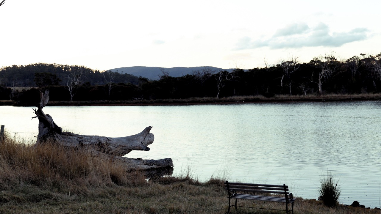 Photo of Outdoor in Little Swanport