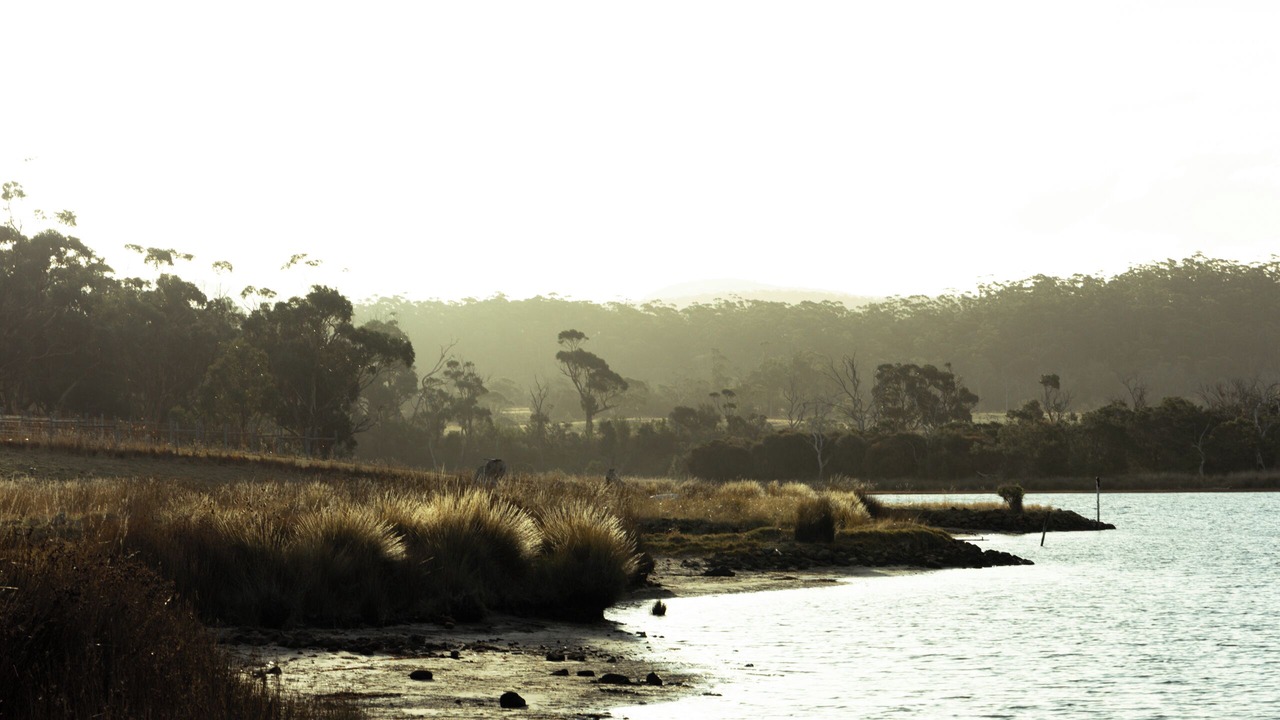 Photo of Outdoor in Little Swanport