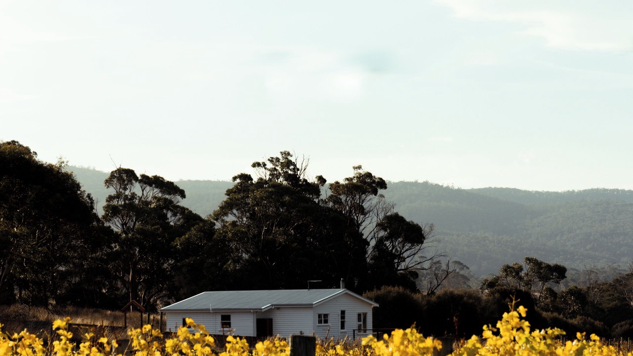 Photo of Outdoor in Little Swanport