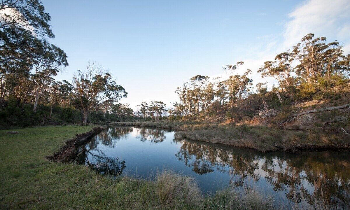 Photo of Outdoor in Little Swanport