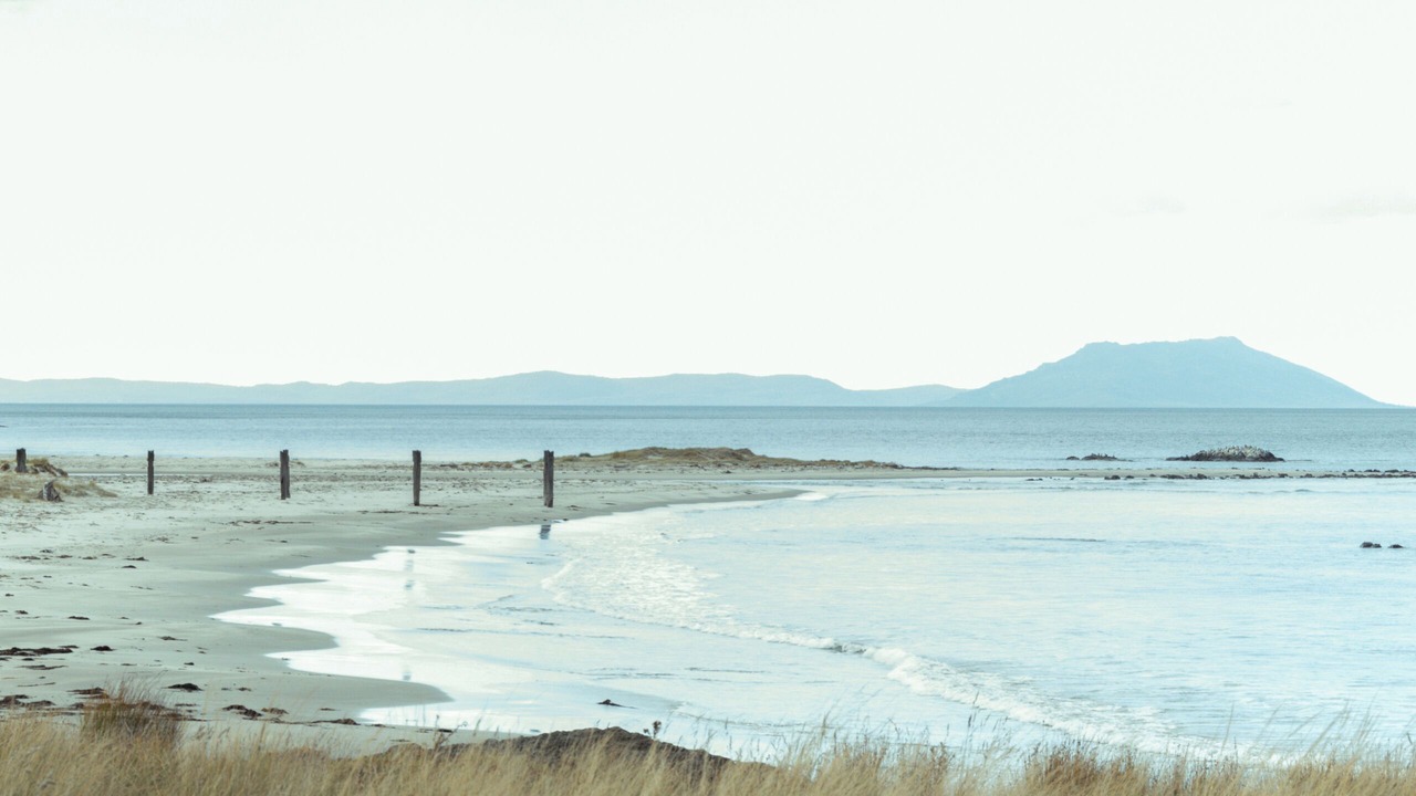 Photo of Others in Little Swanport