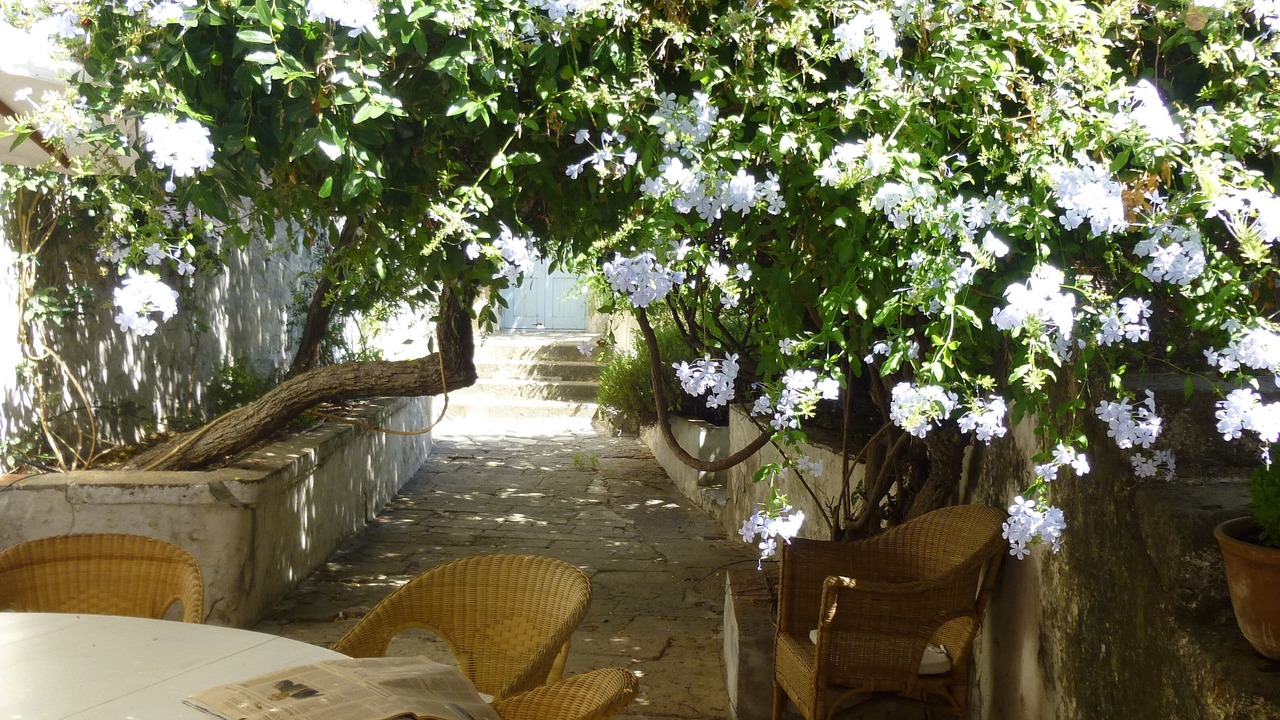 Photo of Outdoor in Chora